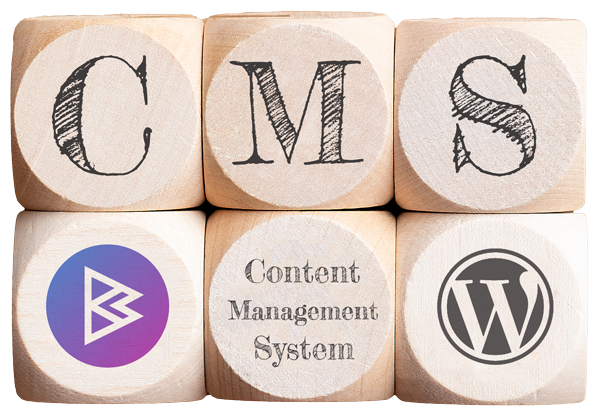 Würfel Content-Management-System Berris Media Webdesign Erzgebirge - WordPress